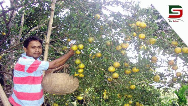 কমলা ফুলির ঘর এ বছরও শূণ্য