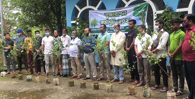 নাজিরবাজারে ইনসাফ ওয়েলফেয়ারের বৃক্ষরোপন ও চারা বিতরণ