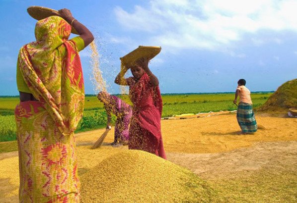 প্রকৃতিতে হেমন্তের আগমন