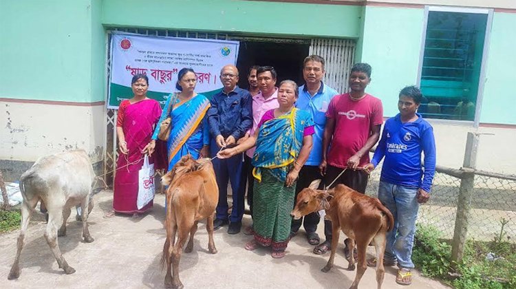 জুড়ীতে ষাঁড় বাছুর বিতরণ