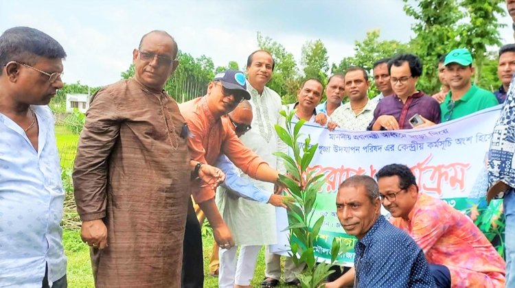 পূজা পরিষদের কেন্দ্রীয় কর্মসূচির অংশ হিসাবে বৃক্ষরোপন